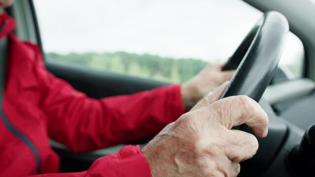 Hands Of An Old Driver On A Steering Wheel Details