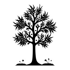 Obraz premium tree with roots