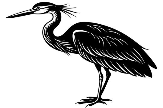 recommend clip art: black heron vector silhouette illustration