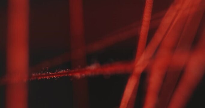 String theory in the universe. Visualization of a scientific concept