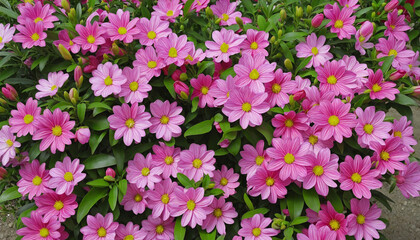 Fototapeta premium Vibrant Blooms in a Botanical Garden: A Generative AI Exploration into the Beauty of Nature's Floral Displays