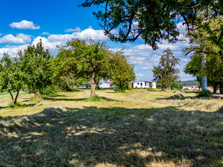 Fototapeta premium Frisch gemähte Streuobstwiese