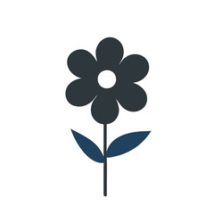 flower on white background