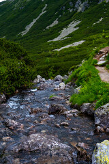 Landscape of a stony river against the background of green mountains with a clump on the left