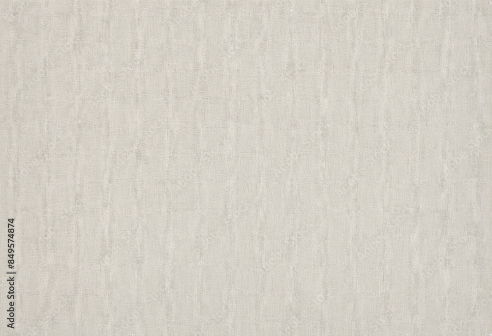 Poster a serene monochrome canvas texture with a delicate abstract pattern