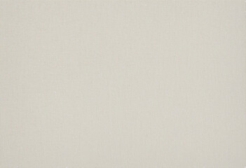 Fototapeta premium A Serene Monochrome Canvas Texture with a Delicate Abstract Pattern