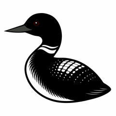  Common Loon outline vector artwork illustration