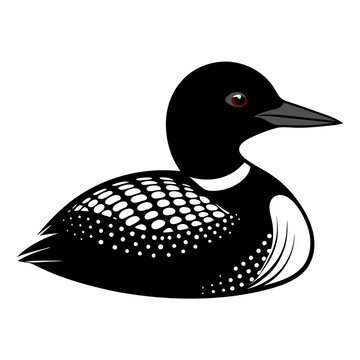 recommend clip art:  Common Loon outline vector artwork illustration