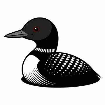 recommend clip art:  Common Loon outline vector artwork illustration