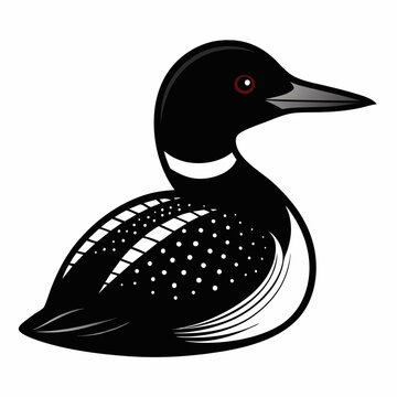 recommend clip art:  Common Loon outline vector artwork illustration