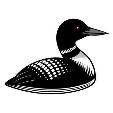 recommend clip art:  Common Loon outline vector artwork illustration