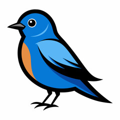 Eastern Bluebird vector  illustration svg file
