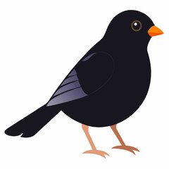 Solid color Dark Eyed Junco animal vector svg
