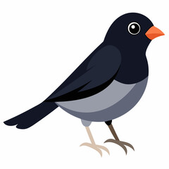 Solid color Dark Eyed Junco animal vector svg