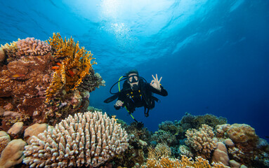 Young Woman Diver Exploring Sea Bottom. Coral Reef with Colored Hard Corals and Fish. Marsa Alam, Egypt.