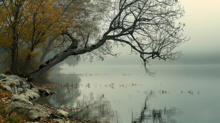 Misty morning by the water