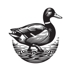 Mallard Duck Silhouette Vector Art Illustration