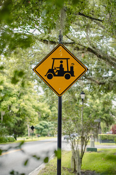 Golf Cart crossing sign on a black pole on a beautiful road with a tree canopy, close-up, verticle 