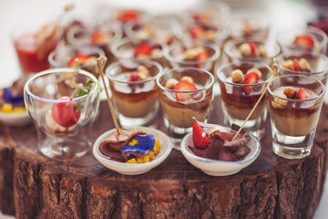 Different canapes with smoked meat, vegetables, cheese. Breakfast buffet table with a variety of snacks. Buffet served table with snacks,fruits,canape,sweets and appetizers. snacks in shot glasses