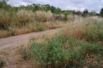 Riserva naturale Valle dell'Aniene, urban city park in Rome, Italy	