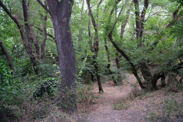 Riserva naturale Valle dell'Aniene, urban city park in Rome, Italy	