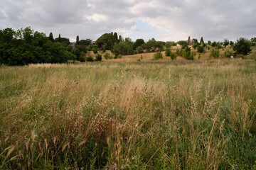 Riserva naturale Valle dell'Aniene, urban city park in Rome, Italy	