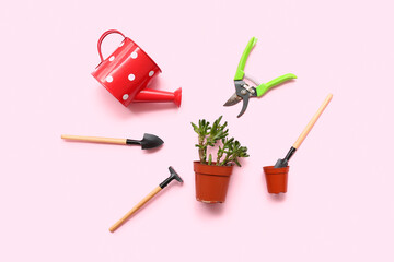 Plant in pot and gardening tools on pink background. Top view
