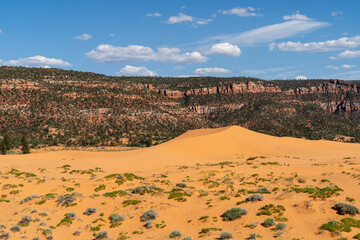 Coral Pink Sand Dunes State Park, Kanab, USA