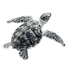 Fototapeta premium Sea turtle with detailed shell pattern on solid white background, single object 