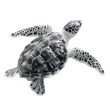 Sea turtle with detailed shell pattern on solid white background, single object
