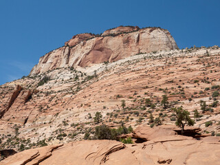 Zion National Park