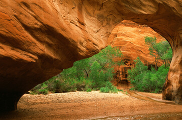 Coyote Natural Bridge, Escalante National Monument