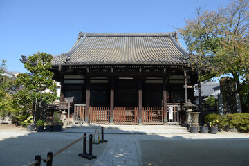 Fototapeta premium 檀王法林寺 本堂 京都市左京区