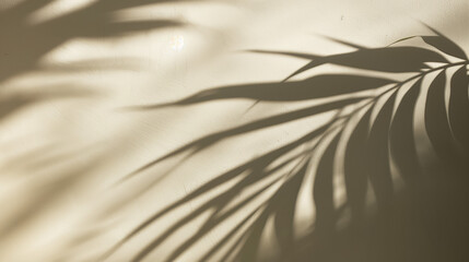 A high-quality photograph featuring the soft, blurred shadows of palm leaves on a light-colored wall, creating a serene and elegant visual effect.