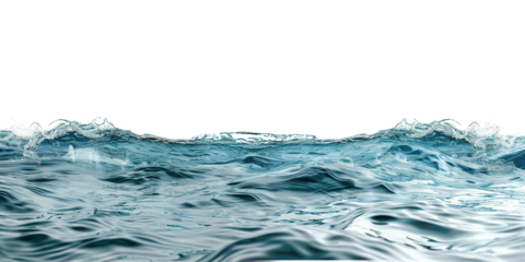 Surface of sea water on transparent or white background
