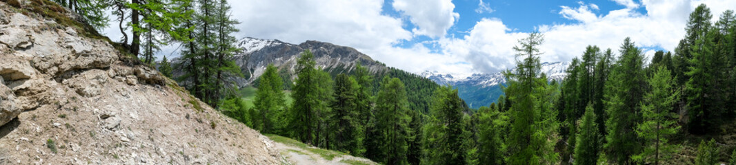 Fototapeta premium Aussicht im Müstair Tal in der Schweiz