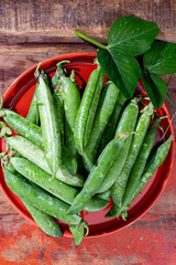 Organic gardening, harvest of green garden peas, fresh peas pods, vegetarian food