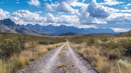 Gravel path cutting through the remote wilderness with mountains in the distance
