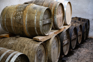 Aging process of cognac spirit in old dark French oak barrels in cellar in distillery house, Cognac...