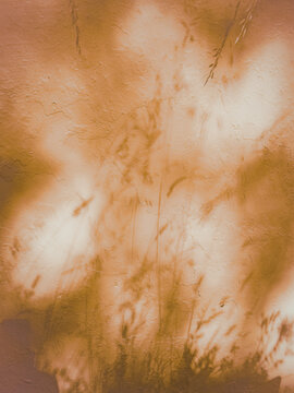 shadow background
