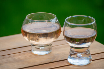 Brut apple cider from Betuwe, Gelderland, in glass, apple cider production in Netherlands