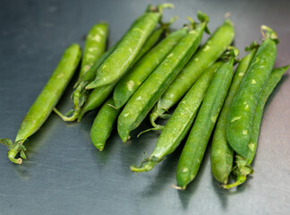 Harvest of experimental new legumes and vegetables varieties in seed bank