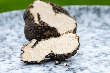 Italian black summer truffle, tasty aromatic mushroom, close up