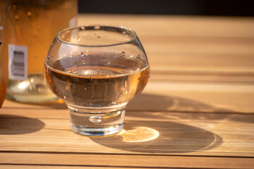Brut apple cider from Betuwe, Gelderland, in glass, apple cider production in Netherlands