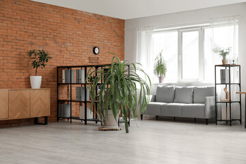 Fototapeta premium Interior of modern office with sofa and palm trees