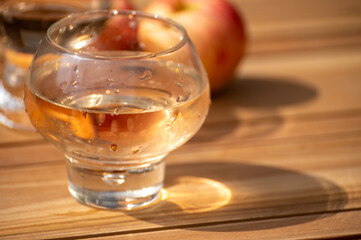 Brut apple cider from Betuwe, Gelderland, in glass, apple cider production in Netherlands