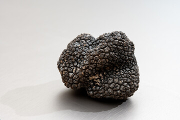 Italian black summer truffle, tasty aromatic mushroom, close up
