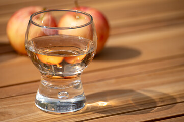 Brut apple cider from Betuwe, Gelderland, in glass, apple cider production in Netherlands