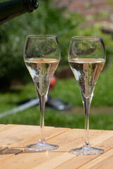 Picnic in summer garden with glasses of brut champagne sparkling wine or cava, cremant produced by traditional method