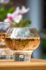 Brut apple cider from Betuwe, Gelderland, in glasses and blossom of apple tree in garden on background on sunny day, apple cider production in Netherlands